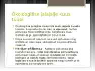 Inimese ökoloogiline jalajälg-esitlus #4