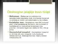 Inimese ökoloogiline jalajälg-esitlus #5