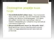 Inimese ökoloogiline jalajälg-esitlus #6