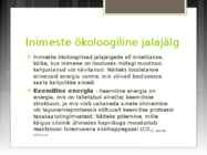 Inimese ökoloogiline jalajälg-esitlus #8