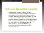 Inimese ökoloogiline jalajälg-esitlus #9