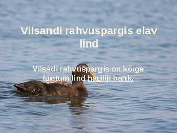 Siirdesoo rahvuspark salumets #16