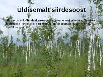 Siirdesoo rahvuspark salumets #20