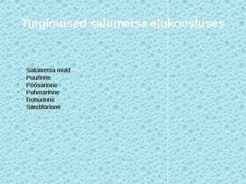 Siirdesoo rahvuspark salumets #6