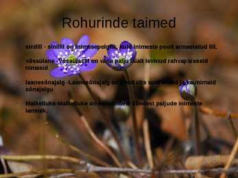 Siirdesoo rahvuspark salumets #9
