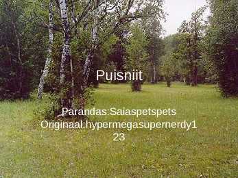Puisniit