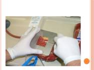 Laboratoorne kontroll #22
