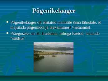 High Island ja Po Pin Chau #7