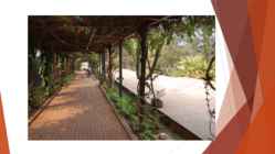 Rwanda genotsiid #9