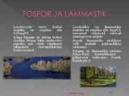 Esitlus - Eesti keskkonna seisundi trendid viimase 20 aasta jooksul #13