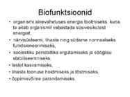 Vitamiinid #33