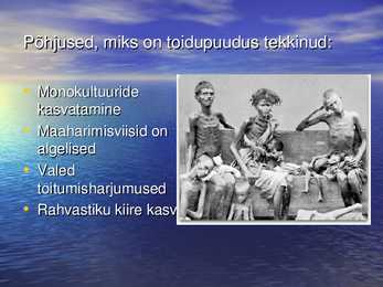 Toidupuudus #2