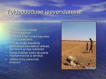Toidupuudus #3