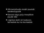 Brasiilia metsad #3