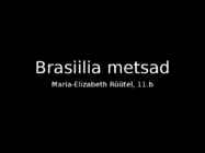 Brasiilia metsad