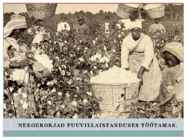 Ameerika Ühendriigid #4