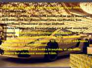 Kuld #8