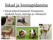 Kesk- ja Lõuna-Ameerika kõrgkultuuride areng - Inkad #12