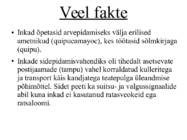 Kesk- ja Lõuna-Ameerika kõrgkultuuride areng - Inkad #8