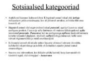 Kesk- ja Lõuna-Ameerika kõrgkultuuride areng - Inkad #9