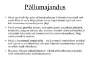 Kesk- ja Lõuna-Ameerika kõrgkultuuride areng - Inkad #10