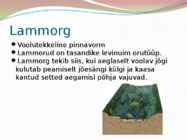 Pinnavormid #4