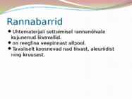 Pinnavormid #7