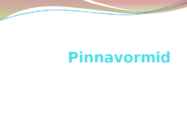Pinnavormid