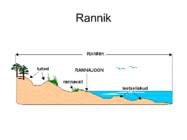 Läänemere areng ja rannatüübid #3