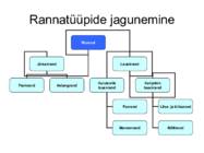 Läänemere areng ja rannatüübid #5