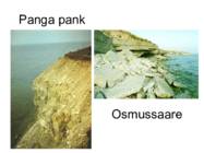 Läänemere areng ja rannatüübid #8