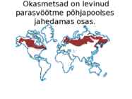 OKASMETSAD #2