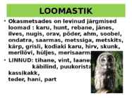 OKASMETSAD #12