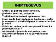 OKASMETSAD #15