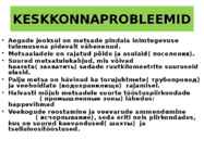 OKASMETSAD #16