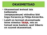OKASMETSAD #3