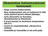 OKASMETSAD #4