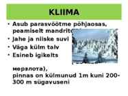 OKASMETSAD #5