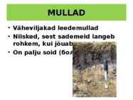 OKASMETSAD #6