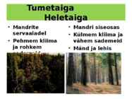 OKASMETSAD #9