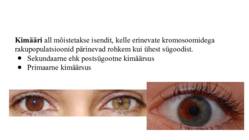 Kimäärid #2
