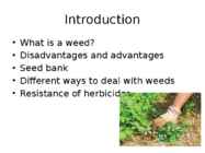 Weed Management Handbook #2