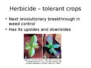 Weed Management Handbook #12
