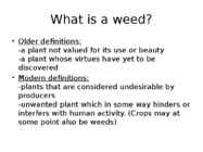 Weed Management Handbook #3