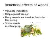 Weed Management Handbook #5