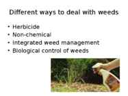 Weed Management Handbook #7