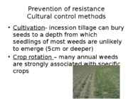 Weed Management Handbook #10
