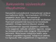 Süsivesikute muutumine toiduainete töötlemisel #8