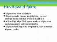Maismaa kilpkonn #7