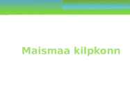 Maismaa kilpkonn